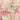 Ivory/Pink/Green Print